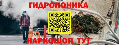 индика Краснодар