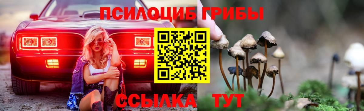 Королёв  Псилоцибиновые грибы мицелий  Вход с VPN 